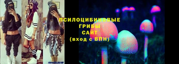 mdma Богданович