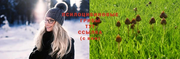 бутират Богородицк